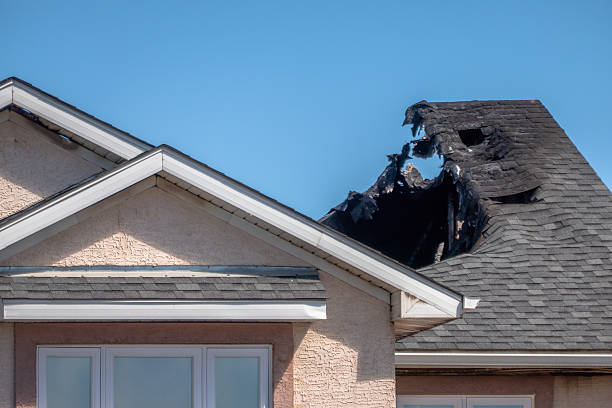 Top rated local Fire Damage Repair specialists in Reston, VA